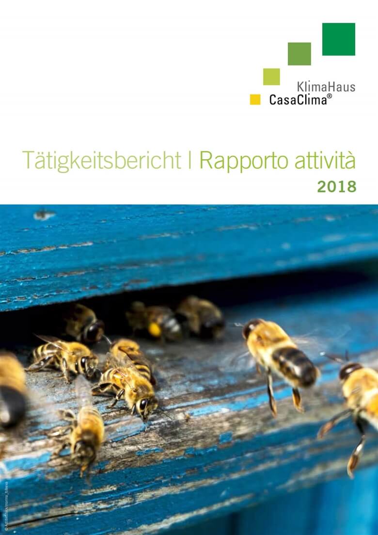 Tätigkeitsbericht 2018